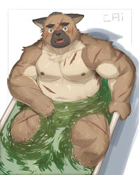 2020 absurd_res anthro bathing belly blush cai1448331577 canid canine canis domestic_dog hi_res kemono male male_only mammal moobs nipples overweight overweight_male scar sitting solo tokyo_afterschool_summoners video_games water yasuyori