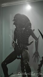 3d alien alien_(franchise) cum knot littleslice-sfm male male_only male_xenomorph masturbation penile_masturbation penis solo source_filmmaker xenomorph