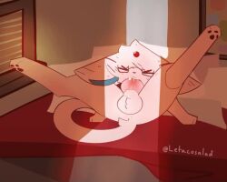 animal_genitalia animal_penis animated anthro anus ass autofellatio balls bed bed_covers bed_sheet bedding bedding_background bedroom bedroom_eyes blinds blinking blinking_at_viewer blush bodily_fluids bracing canid canine canine_genitalia canine_penis caught_in_the_act cheek_tuft cum cum_drip cum_in_mouth cum_inside cum_on_balls cum_on_butt cum_on_face cum_on_ground cum_on_penis cum_on_self cumshot domestic_cat doorway_light dripping ear_blush ears_back ears_down eeveelution ejaculation embarrassed espeon excessive_cum excessive_genital_fluids eyewear facial_tuft feet felid feline felis feral fluffy fluffy_balls fluffy_sheath forehead_gem forehead_tuft fur furniture gay gay_male gem generation_2_pokemon genital_fluids genitals glasses hi_res hindpaw knot knotted_penis letacosalad light lighting looking_at_viewer looking_pleasured lying male male_only mammal masturbation narrowed_eyes nervous nervous_look nervous_sweat nintendo nude on_back oral oral_masturbation overstimulation pawpads paws penile penile_masturbation penis penis_squeeze perineum pillow pink_body pink_fur pivoted_ears pokemon pokemon_(species) quadruped raised_leg seductive shaded shaded_line_art sheath shocked shorter_than_10_seconds silk_the_espeon sole_male solo solo_male sound sound_edit spread_legs spreading squint sweat tagme tail tail_tuft throbbing throbbing_balls throbbing_knot throbbing_penis tuft video wall_(structure) wearing_glasses window window_sill