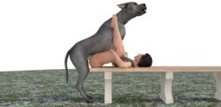 3d Rule 34 Image