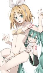 hatsune miku from vocaloid by scarlet (wv0102)