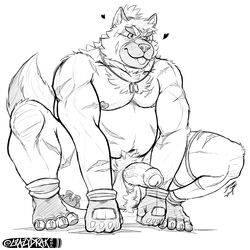 1:1 2020 absurd_res anthro balls belly canid canine canis crazydrak domestic_dog genitals heart hi_res humanoid_hands humanoid_penis jrbart male male_only mammal moobs musclegut navel nipples penis scar simple_background solo tokyo_afterschool_summoners tongue tongue_out video_games yasuyori