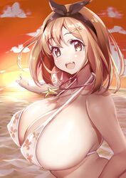 reisalin stout from atelier (series)