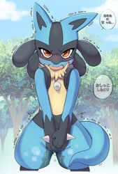 ambiguous_gender anthro anthrofied black_body black_fur blue_body blue_fur bodily_fluids canine dialogue dripping dripping_urine fur furry genital_fluids hi_res holding_crotch japanese_text looking_at_viewer lucario mammal nintendo omorashi open_mouth orange_eyes outside peeing pokemon pokemon_(species) pokemon_dppt ruugiaruu shaking solo standing tail tears text thick_thighs translation_request trembling urine video_games wetting yellow_body yellow_fur