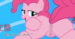 animal animated friendship_is_magic my_little_pony pinkie_pie_(mlp) presenting pussy straight_hair tagme tiarawhy