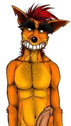 1boy anthro arody bandicoot blank_background color crash_(series) crash_bandicoot_(series) erect erect_penis erection fake_crash front_view fur furry furry_ears furry_male hair humanoid_penis looking_at_viewer male male_only mammal marsupial mutant_serpentina nude penis pointy_ears red_hair short_hair simple_background solo tagme white_background