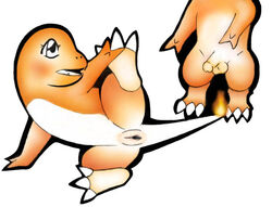 charmander color female fire male nintendo nudity penis pokémon_(species) pokemon pokemon_rgby tail tail_fire vulva