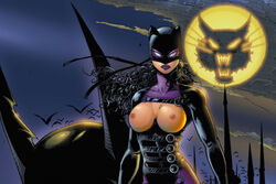 1girls batman_(series) catwoman dc_comics edit female female_only jim_balent photoshop selina_kyle solo tagme wildstorm_fx