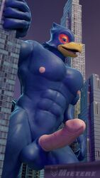 2020 avian balls bird city falco_lombardi genitals hi_res macro male male_only mietere nintendo penis star_fox video_games