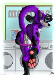 1boy anthro anus appliance ass balls canid canine canis domestic_dog elkhound fur furry genitals hi_res kf-design-germany laundry male male_only mammal pawalo paws solo spitz washing_machine