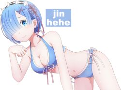 bikini female re:zero_kara_hajimeru_isekai_seikatsu rem_(re:zero) render swimsuit