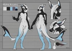 accelo animal_genitalia anthro balls blue_eyes canid canine canine_genitalia digitigrade fin fish genitals girly hair hybrid male mammal marine penis shark solo tail tail_fin white_hair