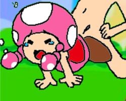 1boy 1girls ambiguous_penetration animated crying female from_behind gif larger_male male mario_(series) minus8 ms_paint nintendo outdoors questionable_consent rough_sex sex size_difference smaller_female super_mario_bros. toadette unseen_male_face