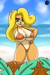 anthro bandicoot beach bikini blonde_hair crash_(series) crash_bandicoot_(series) furry green_eyes huge_breasts looking_at_viewer orange_skin smile smiling smiling_at_viewer tawna_bandicoot tight_clothing tnt valerya5 video_game_character