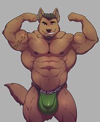 1boy 2016 5_fingers abs anthro beard biceps big_muscles black_hair black_nipples brown_body brown_fur canid canine canis clothing ear_piercing ear_ring facial_hair fingers flexing fur green_underwear grin hair huge_bulge huge_muscles jockstrap knuxlight looking_at_viewer male male_only mammal muscular muscular_male nipples partially_clothed pecs piercing quads simple_background smile solo tattoo topless tremor_(character) underwear underwear_only veiny_muscles wolf