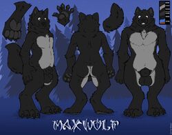 4_toes 5_fingers animal_genitalia anthro balls canid canine canis english_text fingers fully_sheathed fur genitals male mammal maxwolf_(character) model_sheet pawpads rhari sheath teeth text toes wolf