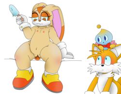 anthro canid canine chao_(sonic) cheese_the_chao cream_the_rabbit digital_media_(artwork) female flat_chest fox fuzefurry genitals hi_res lagomorph leporid male mammal masturbation pussy rabbit sonic_(series) sonic_the_hedgehog_(series) tagme tails young