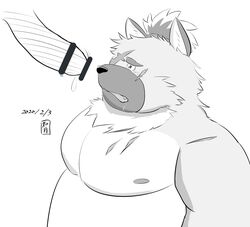 2020 anthro belly blush bodily_fluids canid canine canis censored cute_fangs domestic_dog drooling genitals hi_res kemono kisaragi_syoo male male_only mammal moobs nipples overweight overweight_male penis saliva scar simple_background solo_focus tokyo_afterschool_summoners video_games yasuyori