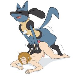 lucario from nintendo by eroborus