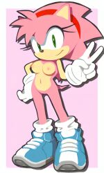 amy rose from sonic (series)