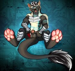 absurd_res anthro balls dragon fur furred_dragon furry genitals hi_res male male_only mosstheopossum pawpads paws penis piercing presenting presenting_penis solo tagme wingless_dragon