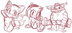 amphibian amy_rose anthro big_breasts big_the_cat blush breasts condom duo exposed_torso female feral footwear frog genitals handwear hi_res humanoid mostly_nude nipples offering_condom pussy rule_63 simple_background sitting sketch solo sonic_(series) sonic_the_hedgehog_(series) tails tailsko uyu white_background