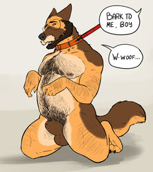 absurd_res animal_genitalia anthro beard belly body_hair canid canine canis chest_hair collar domestic_dog douglas_kim eyewear facial_hair genitals german_shepherd glasses hairy happy_trail herding_dog hi_res male male_only mammal moustache nipples pastoral_dog sheath solo submissive thick_thighs