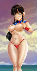 chichi from dragon ball by thelorope