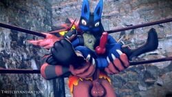 2boys 3d animated ass balls blue_fur canine canine_penis feet feline feral feral_on_feral fire furry gay green_eyes holding incineroar interspecies knot larger_male lucario male male_only nintendo no_sound paws penis pokemon pokemon_(species) pokemon_dppt red_eyes red_fur sex size_difference smaller_male source_request spread_legs super_smash_bros. testicles text thick_thighs twitchyanimation video watermark wide_hips wrestling_ring yaoi yellow_sclera