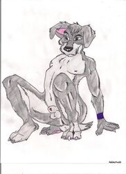 anthro anthrofied canine claws color disney dog front_view fur furry furry_only holidaypup lady_and_the_tramp male male_only nude penis scamp sheath solo testicles wristband