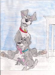 disney gay holidaypup incest lady_and_the_tramp male male_only oral penis scamp tramp