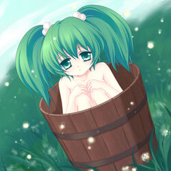 bucket girl_in_bucket green_eyes green_hair hair_bobbles hair_ornament in_bucket in_container kisume long_hair mikazuki_sara nude solo team_shanghai_alice tied_hair touhou twintails