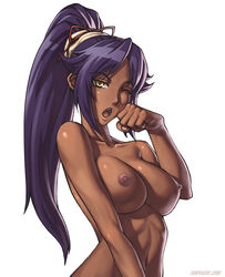 shihouin yoruichi from bleach by sefuart