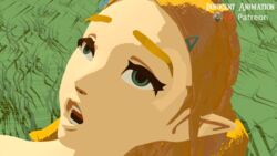 1girls 3d animated blonde_hair breath_of_the_wild face female hylian innocentanimation link link_(breath_of_the_wild) male nintendo outdoors pale_skin pointy_ears princess_zelda the_legend_of_zelda zelda_(breath_of_the_wild)