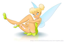 disney disney_fairies peter_pan_(disney) pussy tagme tapdon tinker_bell