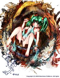 1girls barefoot bucket female female_focus female_only green_hair kisume pigtails tagme team_shanghai_alice touhou