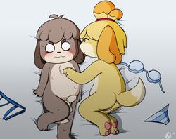 animal_crossing anthro anthro_on_anthro ass balls bed blush bra brother brother_and_sister canid canine canis clothing contimplatininspiratio cuddling digby_(animal_crossing) domestic_dog duo female flaccid furniture genitals hi_res incest isabelle_(animal_crossing) male mammal nintendo nude opposite_sex_twins panties pawpads penis pussy shih_tzu sibling sister straight tongue tongue_out toy_dog underwear video_games