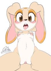 blush breasts brown_eyes cream_the_rabbit cub duo female furry gatomonlover genitals lagomorph male mammal nipples nude open_mouth penetration penis pussy sex sonic_(series) sonic_the_hedgehog_(series) spread_legs straight tongue vaginal_penetration young