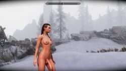 1futa 3d animated balls breasts casual dark_hair elf elf_ears elf_futanari erect_penis erection futa_only futanari intersex nudist outdoors pale_skin penis skyrim snow solo tagme tails the_elder_scrolls trixter video