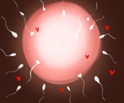 fertilization impregnation nika_(artist) ovum sperm_cell x-ray