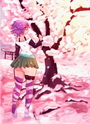 big_ass blue_eyes blush cherry_blossoms clothed from_behind leg_strap lollipop purple_hair rosario+vampire shirayuki_mizore skirt stockings striped_legwear