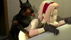 3d 3d_(artwork) all_fours animal_genitalia animated bent_over bestiality canine canine_penis dog doggy_style from_behind interspecies l00dd00d naruto naruto_shippuden no_sound sakura_haruno video zoophilia