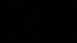 1080p 3d ai_enhanced aku_aku ami_bandicoot animated anthro anthro_only barefoot black_screen_roulette casual coco_bandicoot completely_nude completely_nude_female crash_(series) crash_bandicoot crash_team_racing dancing female female_only full_body funny grey-yordle group isabella_bandicoot liz_bandicoot longer_than_30_seconds marsupial megumi_bandicoot meme music naked naked_female nude nude_female orange_fur shower sound tagme tawna_bandicoot twerking uka_uka video