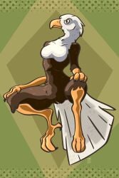 absurd_res accipitrid accipitriform anthro avian bald_eagle beak bird breasts digital_drawing_(artwork) digital_media_(artwork) digitigrade eagle feathers featureless_breasts feet female floating genitals hands_on_knees hands_on_legs hi_res looking_at_viewer non-mammal_breasts nude nude_anthro nude_female sea_eagle simple_background small_breasts solo tail tail_feathers talons toes vike_mike vulva wingless_avian