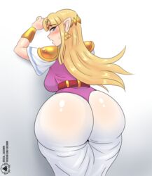princess zelda from a link between worlds by casemon