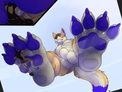 4:3 animal_genitalia anthro anthro_on_anthro balls black_body black_fur blue_claws blue_eyes blue_pawpads brown_hair brown_nose canid canine canis claws close-up closed_eyes crush cutaway dannydumal duo feet fenki foot_fetish fox fully_sheathed fur genitals hair low-angle_view lying male male/male mammal mouth_closed nude on_back orange_body orange_fur pawpads pecs sheath short_hair solaxe_(artist) standing white_body white_fur wolf worm's-eye_view