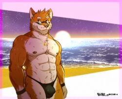 afternoon anthro black_eyewear black_glasses bulge buster canid canine canis clothed clothing detailed_bulge domestic_dog duskshield eyewear glasses kydronaegis male mammal pecs sea shiba_inu solo speedo speedo_only spitz sunset swimwear topless twilight water wet