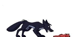 2:1 animal_genitalia animated anthro bandana_(character) belly big_belly canid canine canis devoured dragon duo female feral forced fur gameplay_mechanics genitals horn male male/female mammal mythological_creature mythological_scalie mythology nude open_mouth oral_vore penis poundbandana project_devour(game) scalie size_difference sleeping stomach_bulge struggling struggling_prey tail unconscious vore wolf