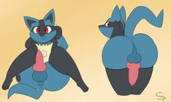 1boy animal_genitalia animal_penis anthro anthrofied anus ass canine_penis furry hi_res looking_at_viewer lucario male male_focus male_only nintendo penis pokémon pokémon_(species) pokemon_dppt presenting presenting_hindquarters red_eyes sketchyyvun solo tail testicles thick_thighs video_games wide_hips