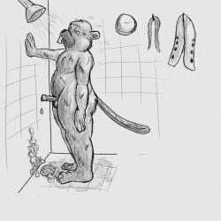1boy 3_toes after_male_masturbation after_masturbation alternate_version_available anthro anthro_male anthro_only beaver beaver_tail broadside_beach buckteeth bucky_beaver clothes_aside clothing_removed cock cum cum_drop cum_in_shower cum_on_floor cum_on_wall dick digital_drawing_(artwork) digital_media_(artwork) drain erect erect_after_cumming erect_penis erection eyes_open fanfic_art fur furry furry_male furry_only genitalia genitals grayscale greyscale hand_on_wall hi_res hook lendri_mujina lidded_eyes male male_only monochrome no-human no_human no_humans only_furry only_male open_mouth penis png rodent semen sfw_version_available shipwrecked_64 shower showering sketch sketchy slightly_chubby slightly_chubby_anthro slightly_chubby_male solo solo_anthro solo_furry solo_male standing standing_up story_at_source tail tile_floor tile_wall tiles water wet wet_body wet_fur white_background
